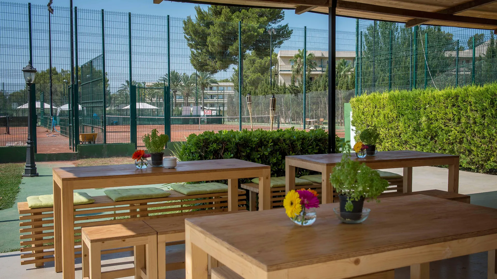 ***  Bellevue Club Aparthotel Port de Alcudia  Spain
