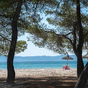 Ferrer Lime Playa De Alcudia Spain